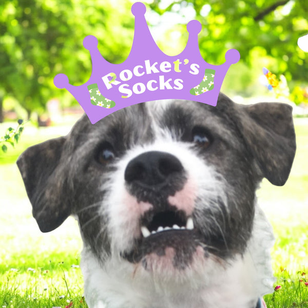 Rocket's Socks